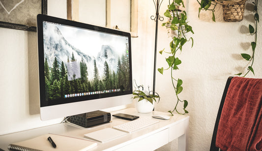 Website Erstellung